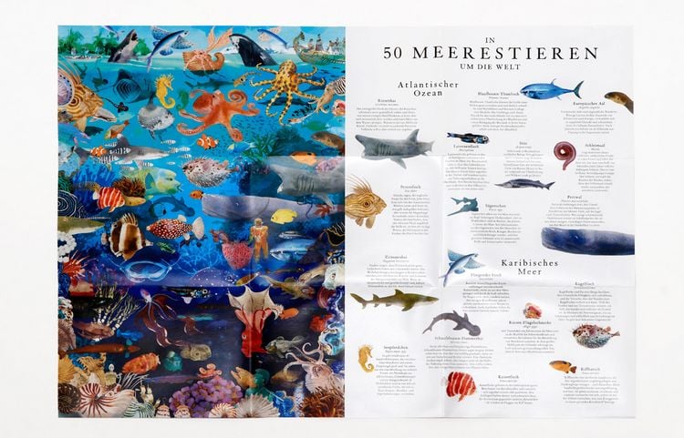Produktbild: In 50 Meerestieren um die Welt