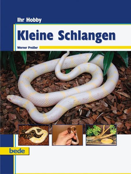Produktbild: Ihr Hobby Kleine Schlangen