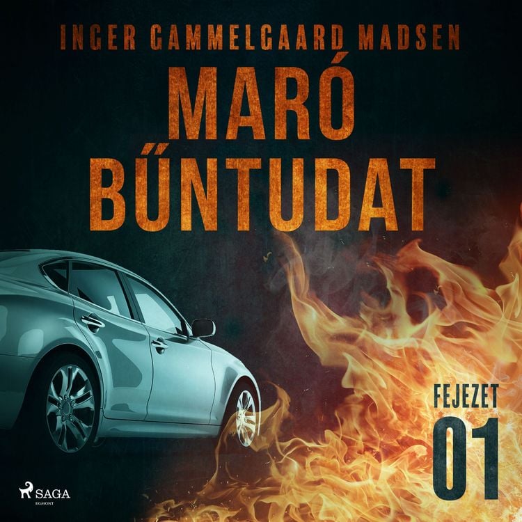 Produktbild: Mar&oacute; bűntudat &ndash; 1. fejezet