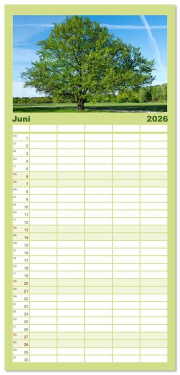 Produktbild: Familienplaner 2026 - Die Buche: 12 Baumportr&auml;ts mit 5 Spalten (Wandkalender, 21 x 45 cm) CALVENDO