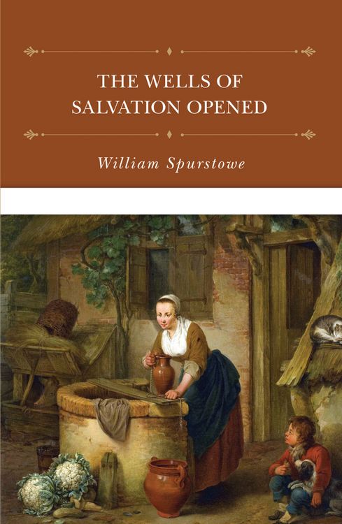Produktbild: The Wells of Salvation Opened