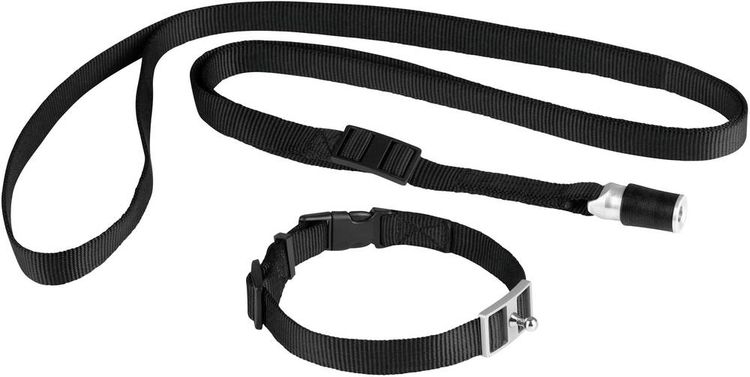 Produktbild: GoLeyGo Hundeleine & Halsband S schwarz