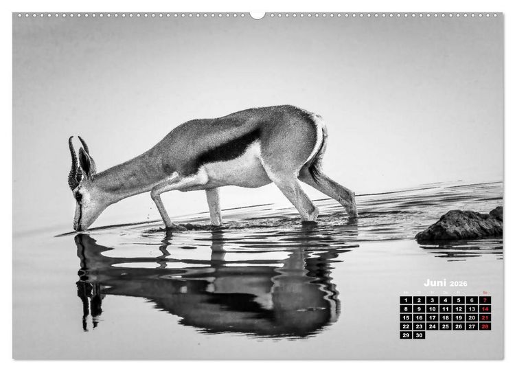Produktbild: Namibia schwarzwei&szlig; (hochwertiger Premium Wandkalender 2026 DIN A2 quer), Kunstdruck in Hochglanz