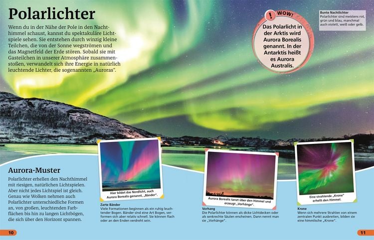 Produktbild: Superchecker! Arktis und Antarktis