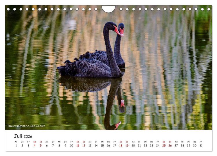 Produktbild: Emsland Impressionen (Wandkalender 2026 DIN A4 quer), CALVENDO Monatskalender