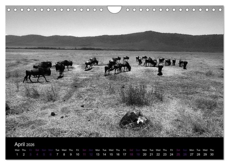 Produktbild: East Africa - Tanzania and Kenya / UK-Version (Wall Calendar 2026 DIN A4 landscape), CALVENDO 12 Month Wall Calendar