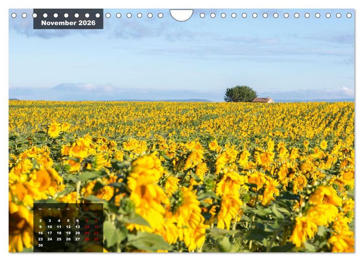 Produktbild: Provence - Farben und D&uuml;fte (Wandkalender 2026 DIN A4 quer), CALVENDO Monatskalender