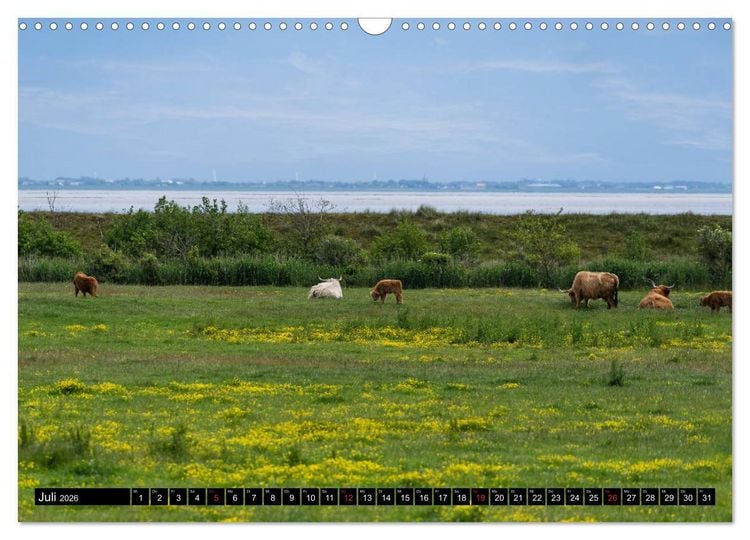 Produktbild: Urlaub auf R&ouml;m&ouml; (Wandkalender 2026 DIN A3 quer), CALVENDO Monatskalender