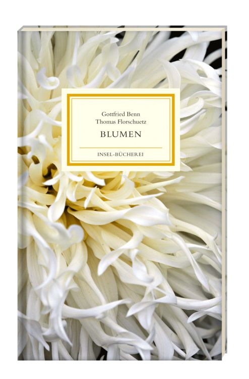 Produktbild: Blumen