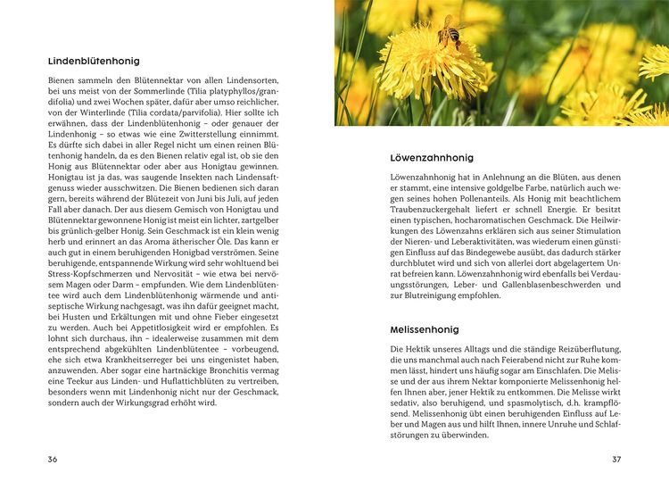 Produktbild: Gesund mit Honig