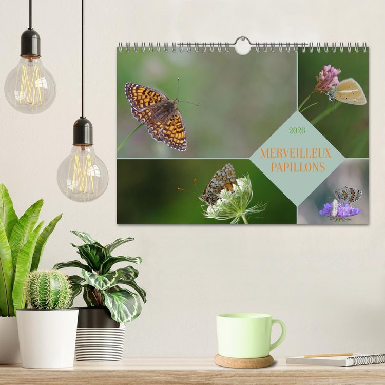 Produktbild: Merveilleux papillons (Calendrier mural 2026 DIN A4 vertical), CALVENDO calendrier mensuel