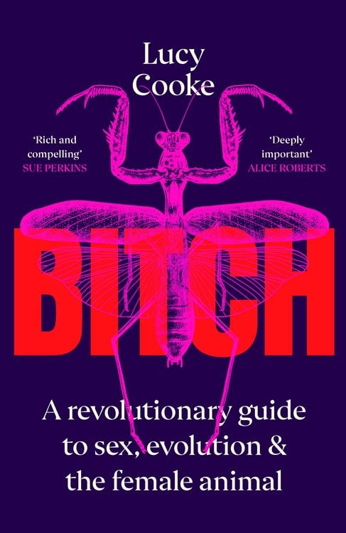 Produktbild: Bitch