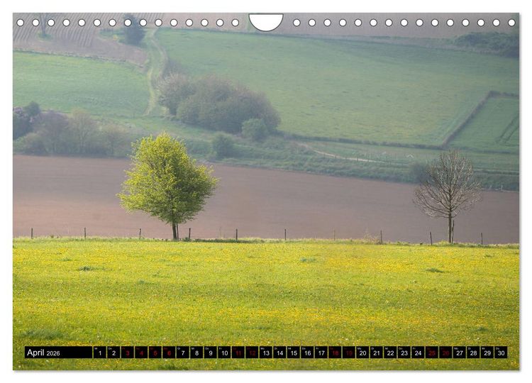 Produktbild: Die westliche Eifel (Wandkalender 2026 DIN A4 quer), CALVENDO Monatskalender