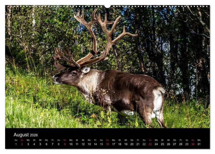 Produktbild: Erlebnis Norwegen: Narvik bis Troms&oslash; (Wandkalender 2026 DIN A2 quer), CALVENDO Monatskalender