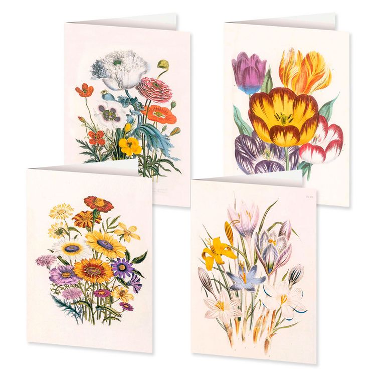 Produktbild: 4er-Set Doppelkarten &raquo;Blumengr&uuml;&szlig;e&laquo; mit Motiven von Jane C. Loudon