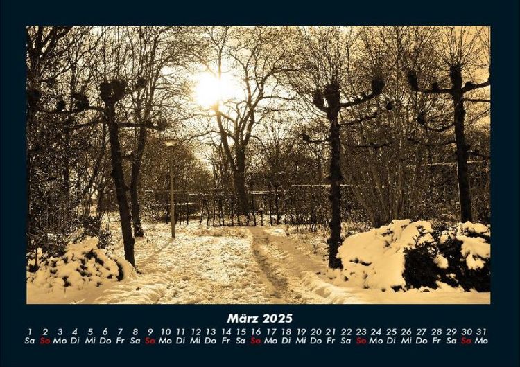 Produktbild: B&auml;ume 2025 Fotokalender DIN A4
