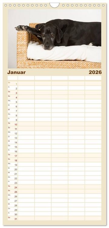Produktbild: Familienplaner 2026 - Deutsche Doggen / Geburtstagskalender mit 5 Spalten (Wandkalender, 21 x 45 cm) CALVENDO