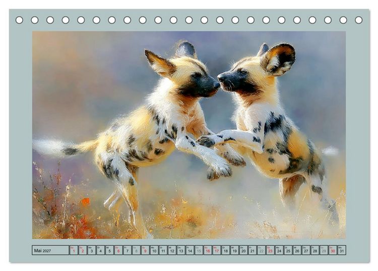 Produktbild: Wildhunde. Afrikas erfolgreiche J&auml;ger (Tischkalender 2027 DIN A5 quer), CALVENDO Monatskalender