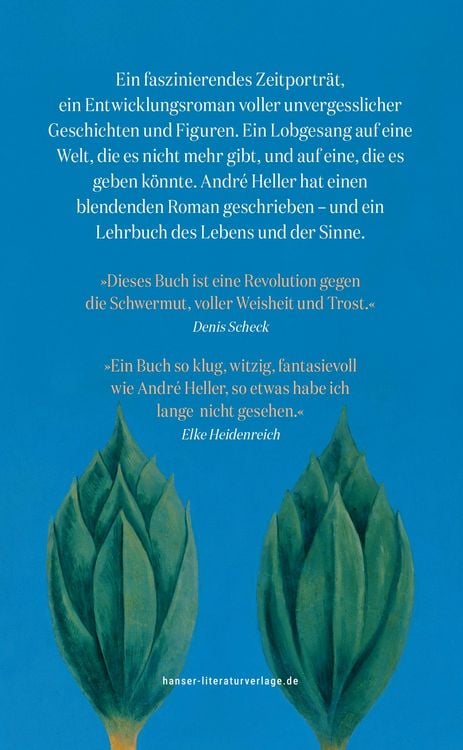Produktbild: Das Buch vom S&uuml;den