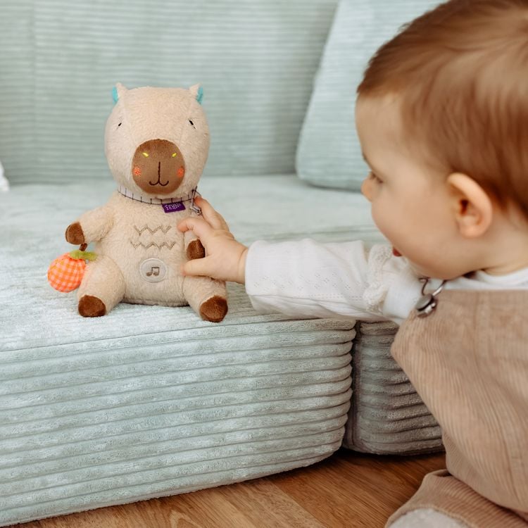 Produktbild: Einschlafhilfe Capybara