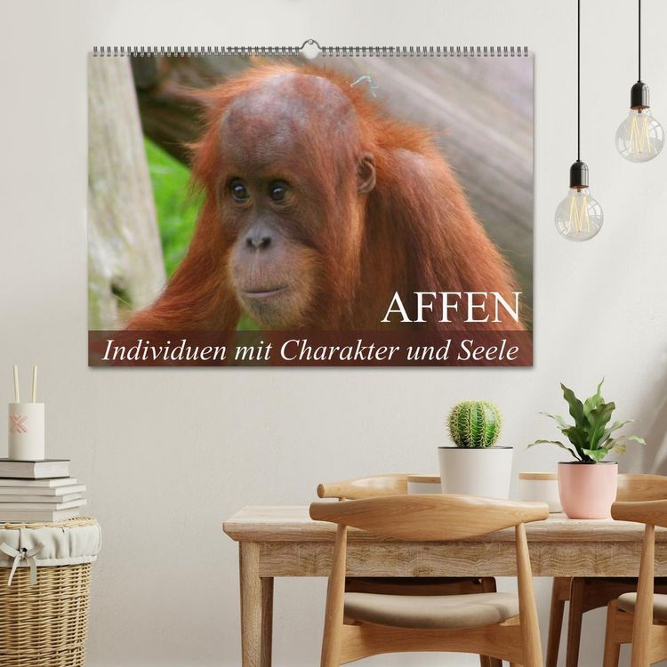 Produktbild: Affen - Individuen mit Charakter und Seele (Wandkalender 2026 DIN A2 quer), CALVENDO Monatskalender