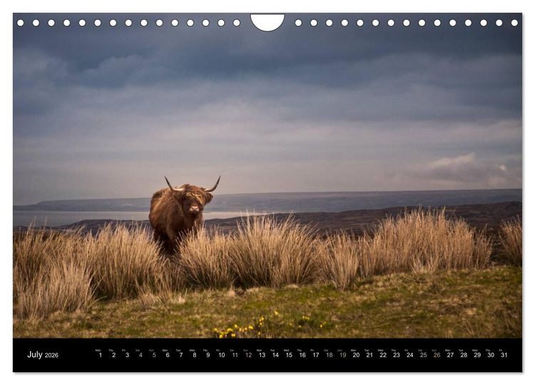 Produktbild: FASCINATING LANDSCAPES SCOTLAND (Wall Calendar 2026 DIN A4 landscape), CALVENDO 12 Month Wall Calendar