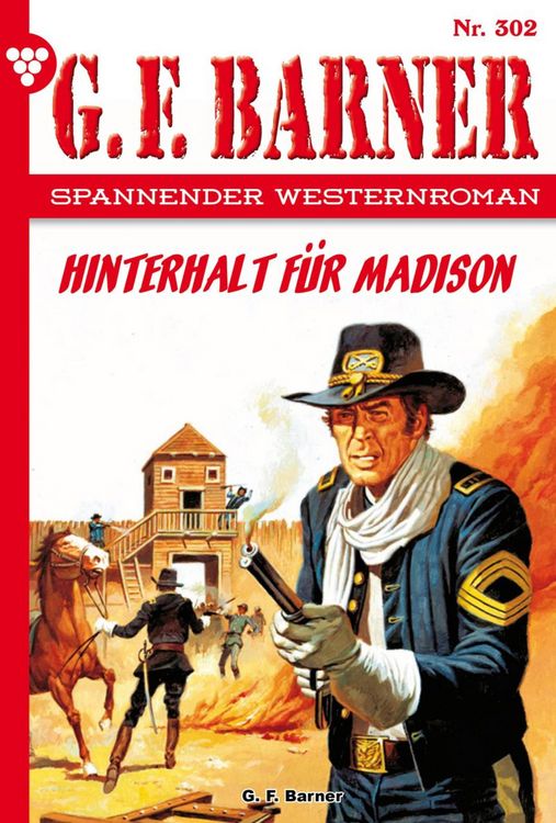 Bild vom Artikel Hinterhalt für Madison vom Autor G. F. Barner