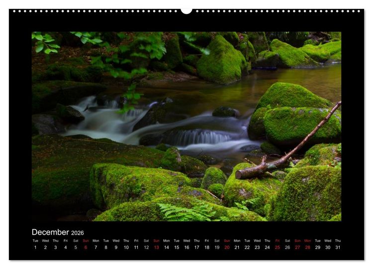 Produktbild: The Black Forest - UK Version (High Quality Premium Wall Calendar 2026 DIN A2 landscape),CALVENDO 12 Month Wall Calendar