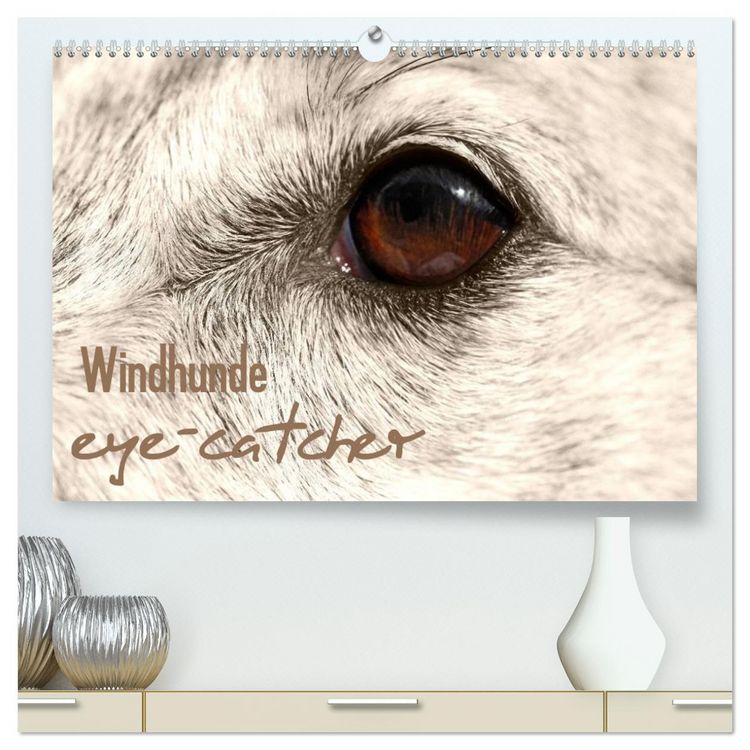 Produktbild: Windhunde eye-catcher (hochwertiger Premium Wandkalender 2026 DIN A2 quer), Kunstdruck in Hochglanz