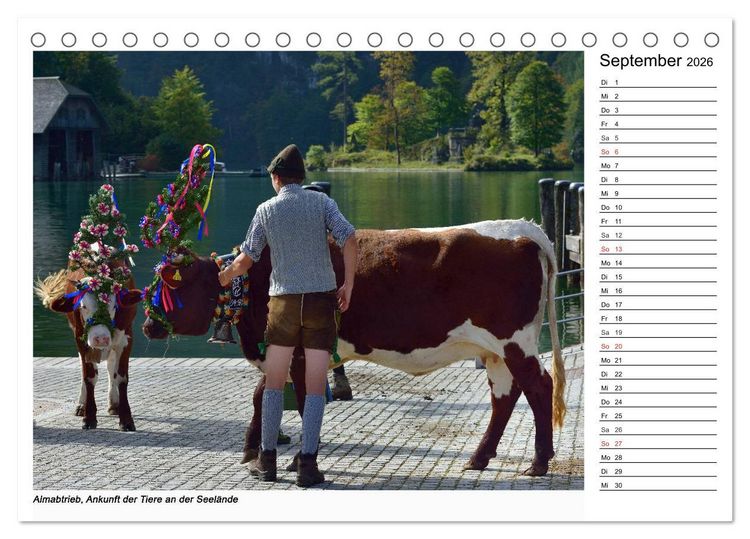 Produktbild: Willkommen am K&ouml;nigssee (Tischkalender 2026 DIN A5 quer), CALVENDO Monatskalender