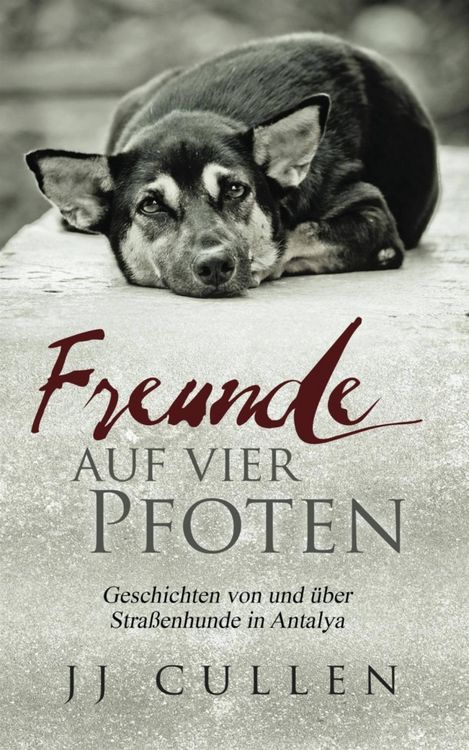 Produktbild: Freunde auf vier Pfoten