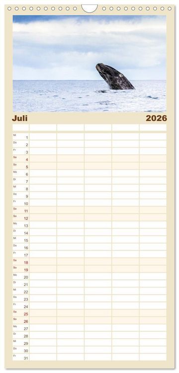 Produktbild: Familienplaner 2026 - S&uuml;dafrika - Garden Route mit 5 Spalten (Wandkalender, 21 x 45 cm) CALVENDO