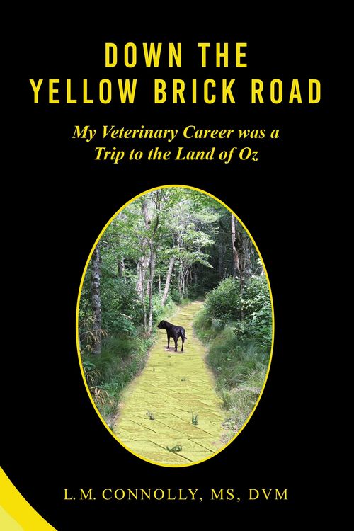 Produktbild: Down The Yellow Brick Road