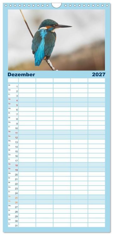 Produktbild: Familienplaner 2027 - Alcedo atthis. Der Eisvogel mit 5 Spalten (Wandkalender, 21 x 45 cm) CALVENDO