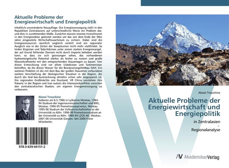 Produktbild: Aktuelle Probleme der Energiewirtschaft und Energiepolitik