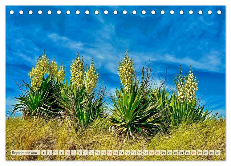 Produktbild: Toskana - Etruskische K&uuml;ste (Tischkalender 2026 DIN A5 quer), CALVENDO Monatskalender