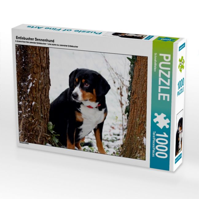 Produktbild: CALVENDO Puzzle Entlebucher Sennenhund | 1000 Teile Lege-Gr&ouml;&szlig;e 64x48cm Foto-Puzzle f&uuml;r gl&uuml;ckliche Stunden