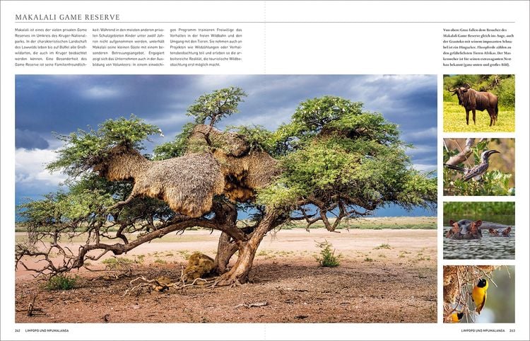 Produktbild: KUNTH S&uuml;dafrika. Das Buch (Magnum-Ausgabe)