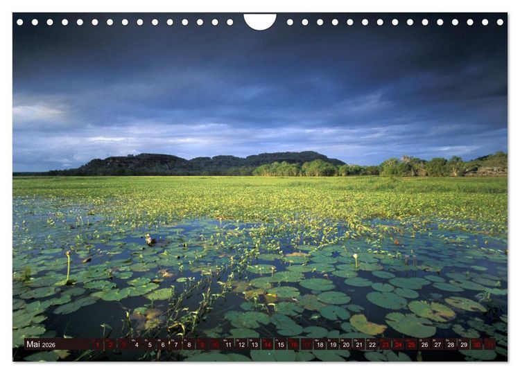 Produktbild: Traumpfade Australien (Wandkalender 2026 DIN A4 quer), CALVENDO Monatskalender
