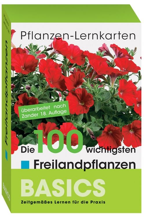 Produktbild: Freilandpflanzen
