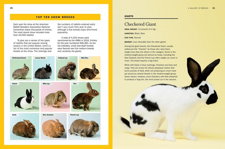 Produktbild: Storey's Guide to Raising Rabbits, 5th Edition