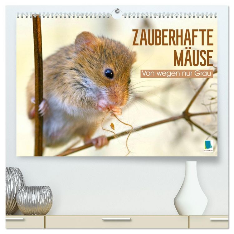 Produktbild: Zauberhafte M&auml;use: Von wegen nur Grau (hochwertiger Premium Wandkalender 2026 DIN A2 quer), Kunstdruck in Hochglanz