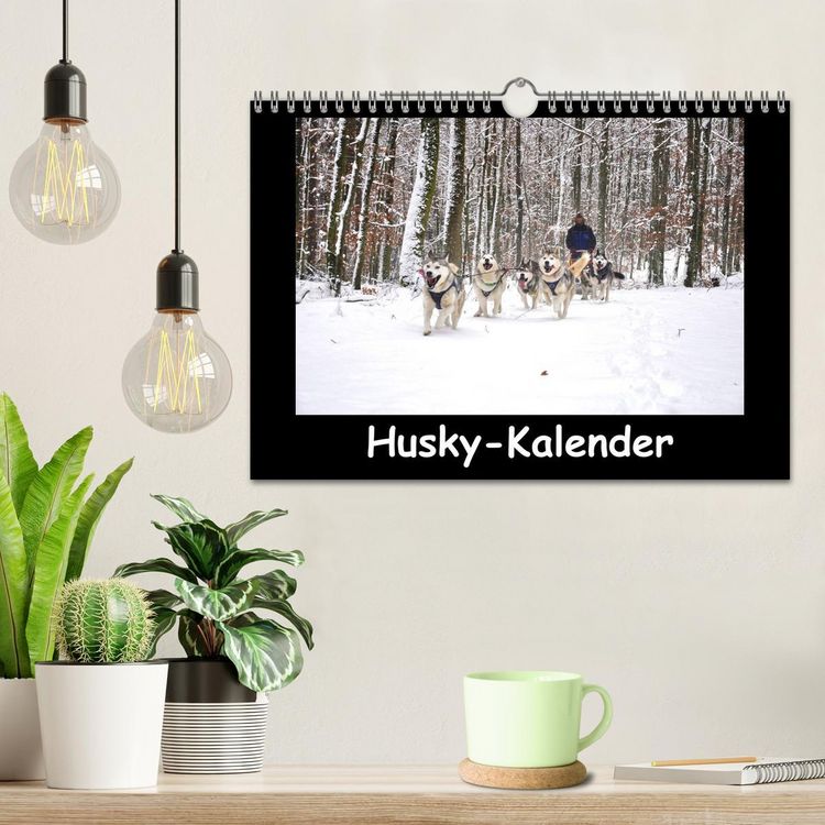 Produktbild: Husky-Kalender (Wandkalender 2026 DIN A4 quer), CALVENDO Monatskalender