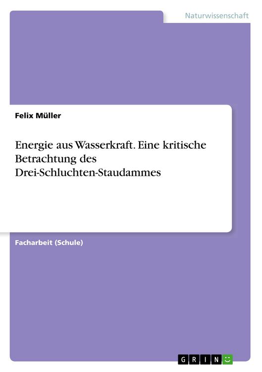 Produktbild: Energie aus Wasserkraft. Eine kritische Betrachtung des Drei-Schluchten-Staudammes