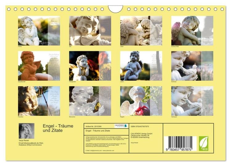 Produktbild: Engel - Tr&auml;ume und Zitate (Wandkalender 2026 DIN A4 quer), CALVENDO Monatskalender