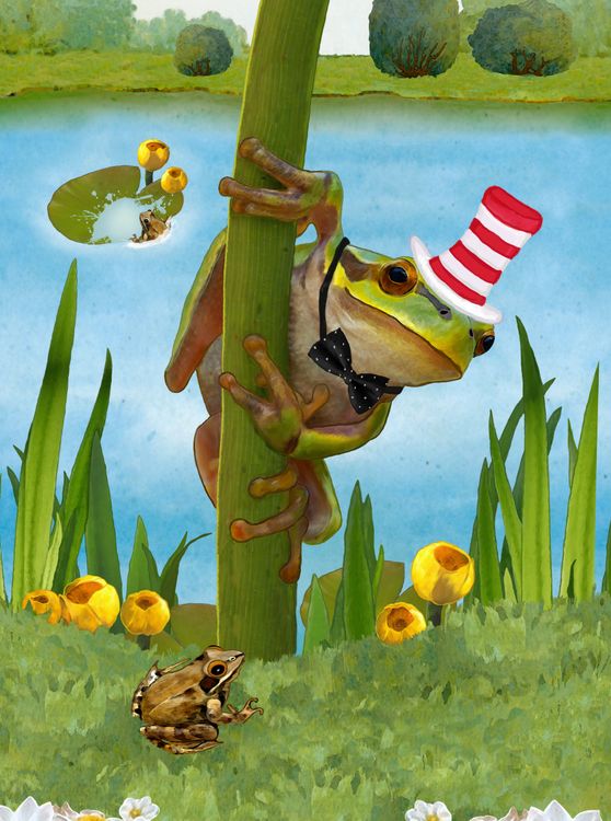 Produktbild: CALVENDO Puzzle Mein Frosch Fridolin | 2000 Teile Lege-Gr&ouml;&szlig;e 90x67cm Foto-Puzzle f&uuml;r gl&uuml;ckliche Stunden