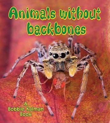 Produktbild: Animals Without Backbones