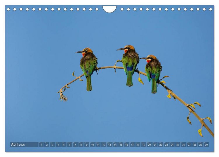 Produktbild: Zambia (Wall Calendar 2026 DIN A4 landscape), CALVENDO 12 Month Wall Calendar