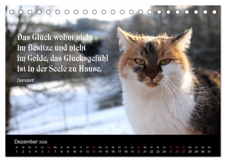 Produktbild: Gl&uuml;ckskatze - Mit Zitaten zum Thema Gl&uuml;ck (Tischkalender 2026 DIN A5 quer), CALVENDO Monatskalender
