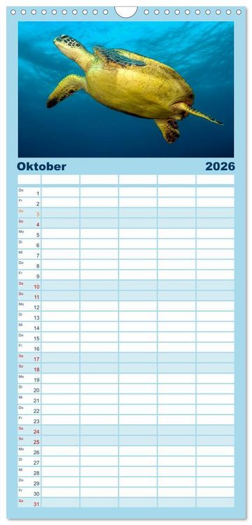 Produktbild: Familienplaner 2026 - Schildkr&ouml;ten des Ozeans mit 5 Spalten (Wandkalender, 21 x 45 cm) CALVENDO